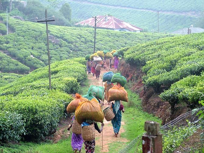 Munnar