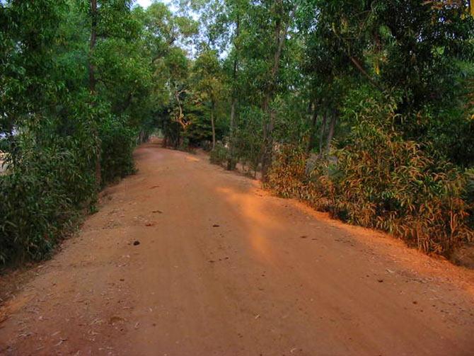 red soil at Shantiniketan