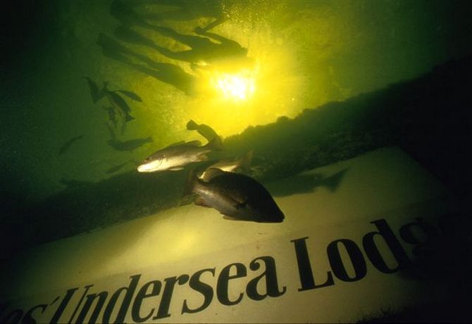 The Undersea Lodge