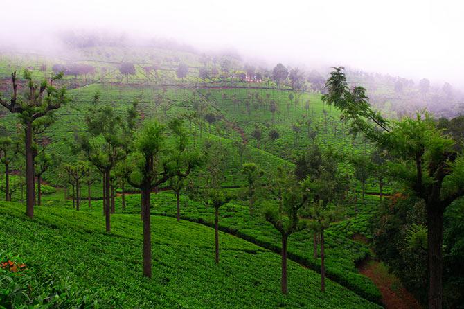 Coonoor