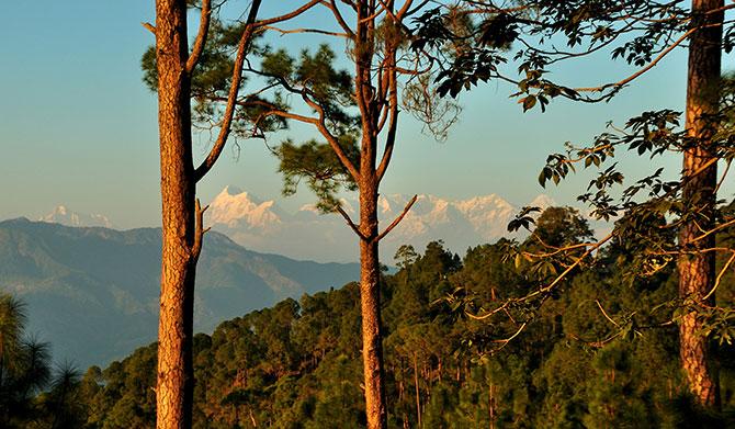 Ranikhet