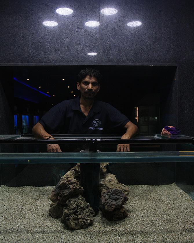 Taraporewala Aquarium