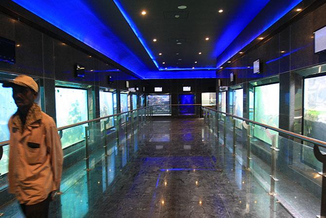 Taraporewala Aquarium