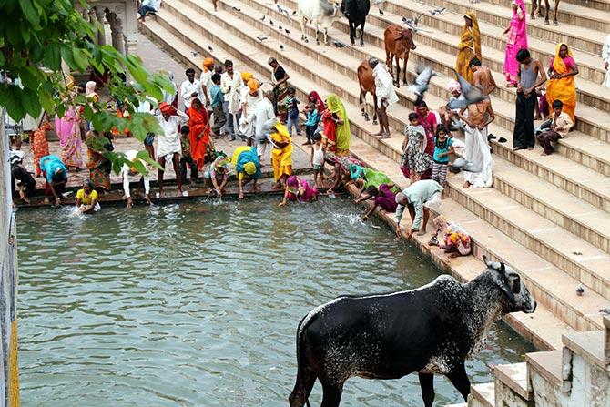 Pushkar Camel Fair