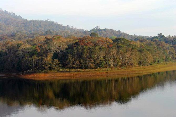 Periyar Lake looks like a still canvas, Thekkady, Kerala (Pic credit Suchismita Bannerji)