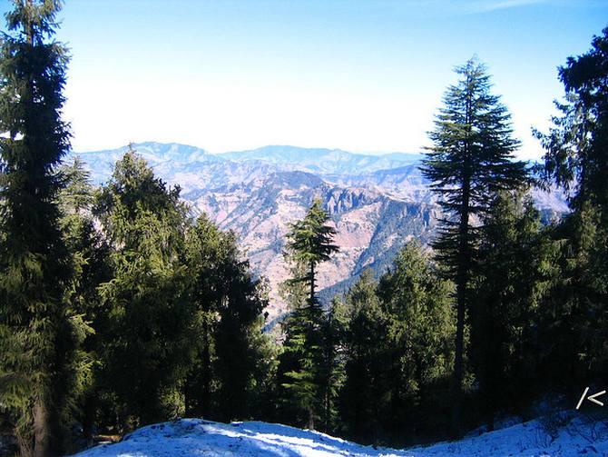 Fagu is an idyllic town in Shimla