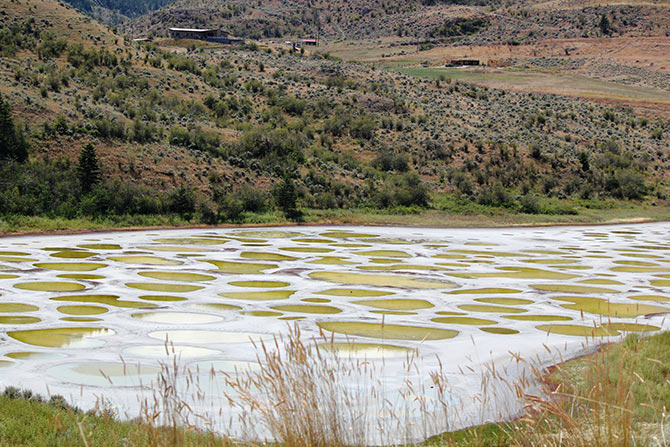 Spotted Lake, Canada