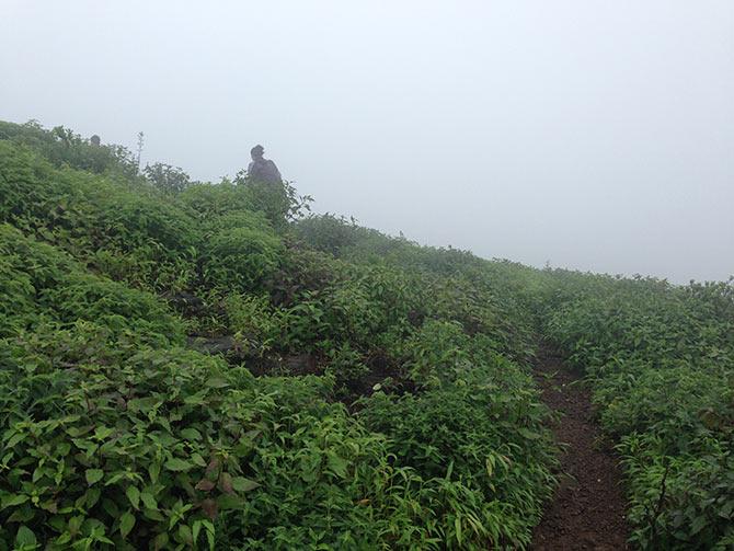 Fort Harishchandragad