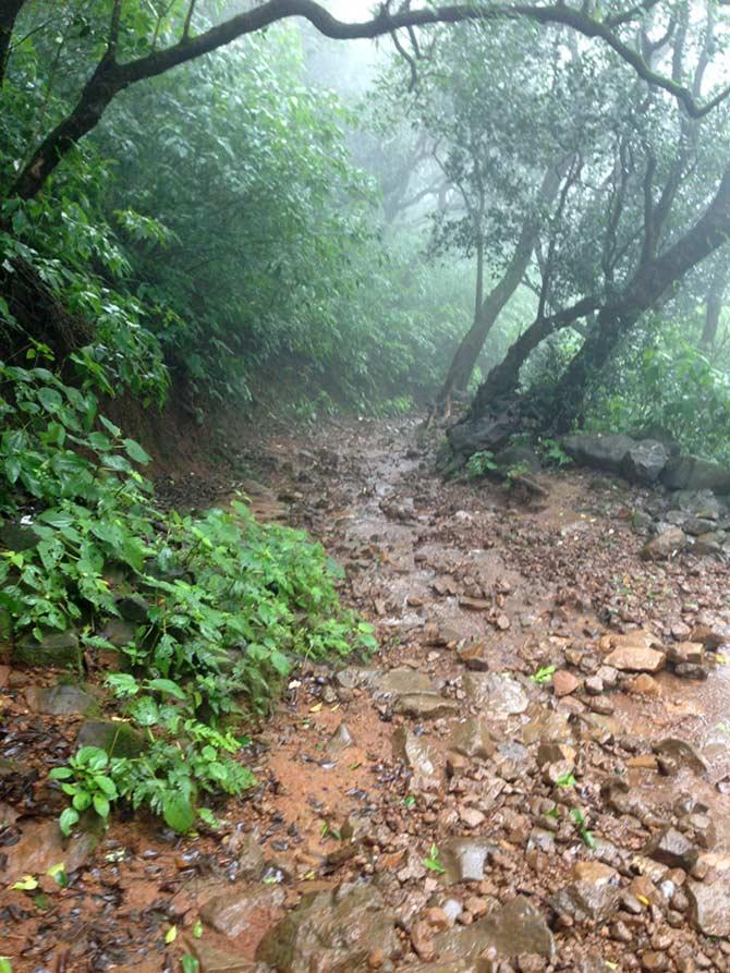 Fort Harishchandragad