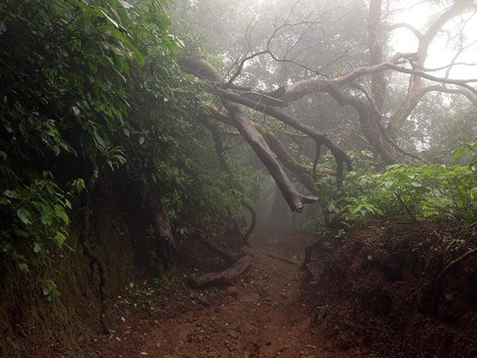 Fort Harishchandragad