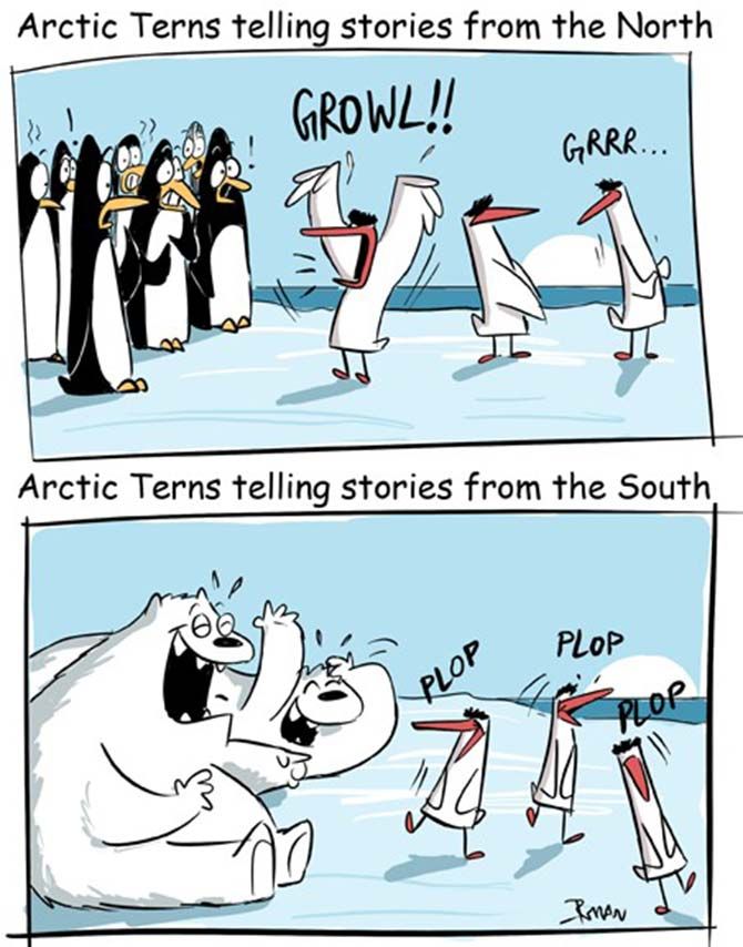 Arctic Terns cartoon by Rohan Chakravarty