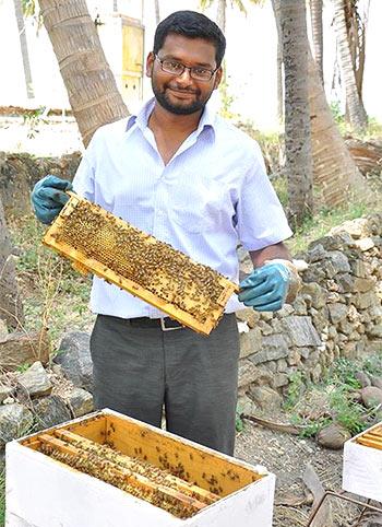 Honey bee 2025 farming near me