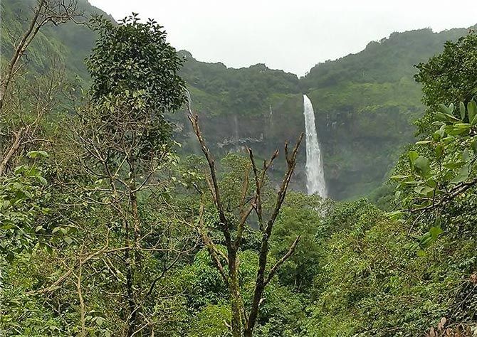 Ozarde Waterfall, Koynanagar