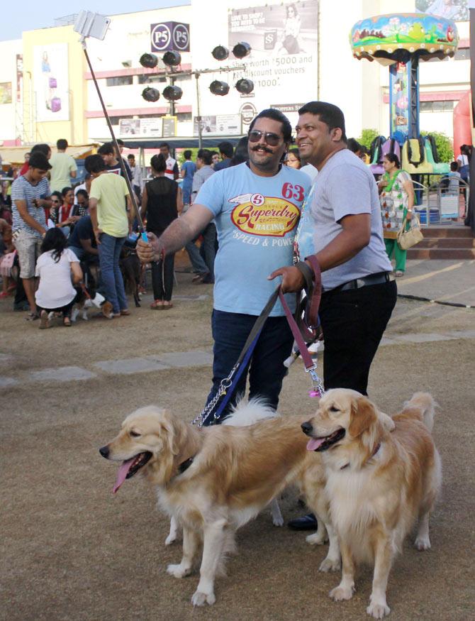 Dog Carnival