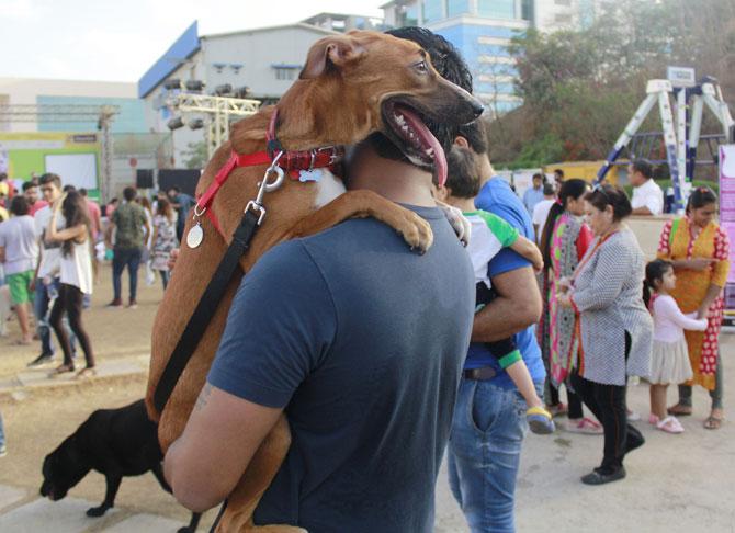 A dog lover with his pet