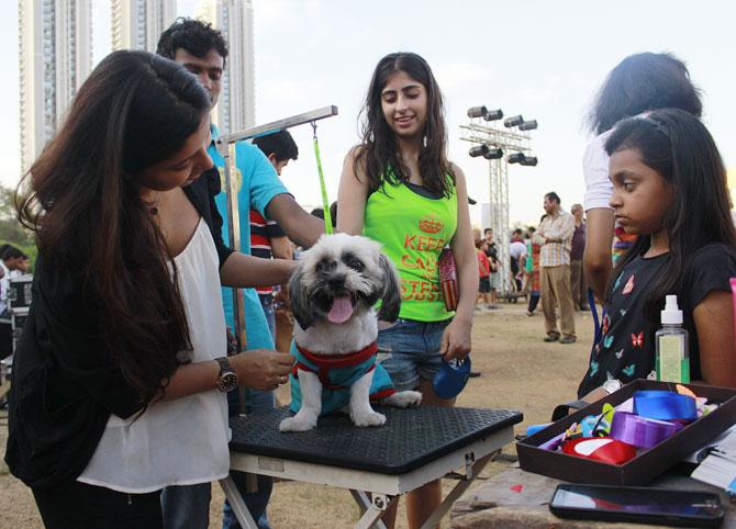 A dog lover with her pet