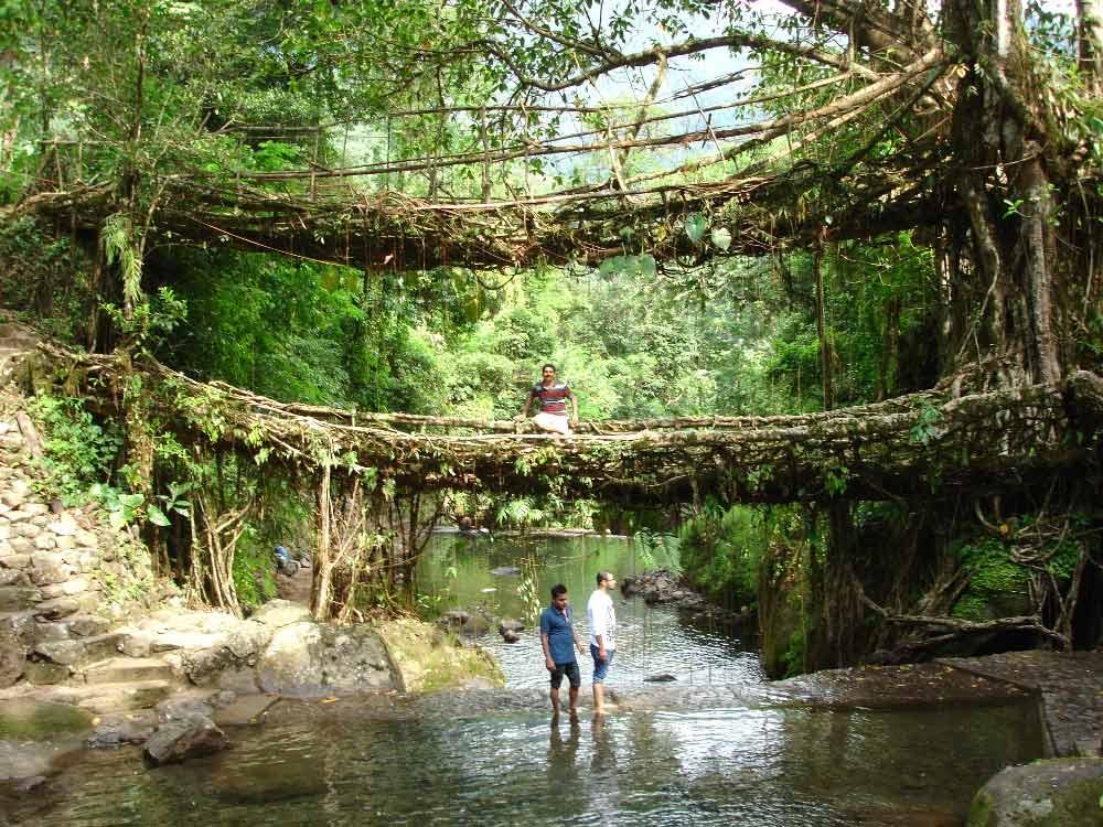 Meghalaya