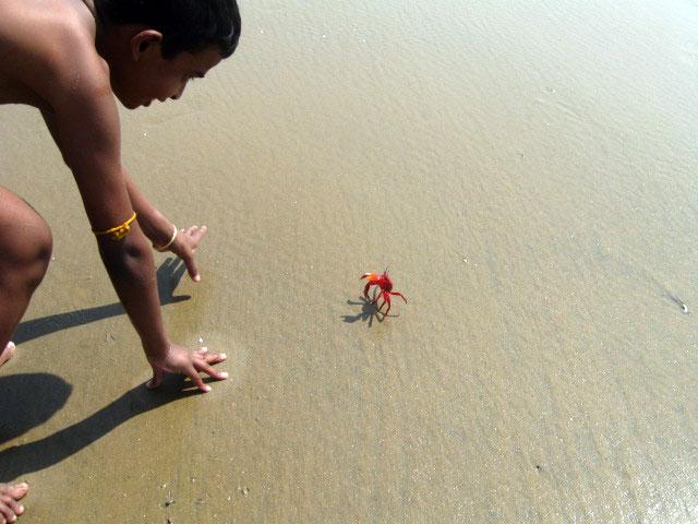 Talsari beach