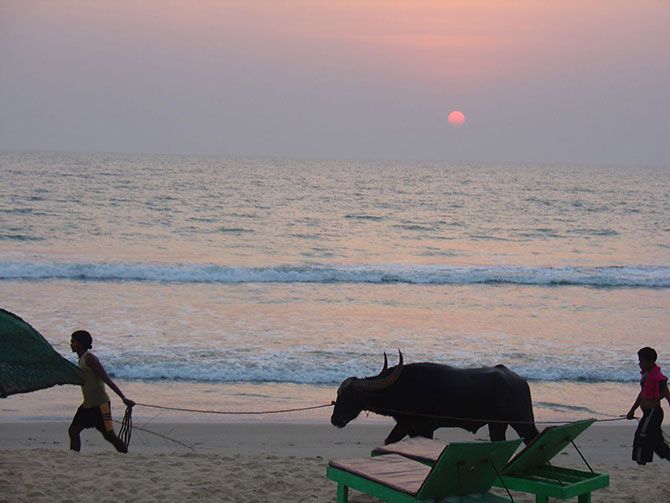 Benaulim beach, Goa 