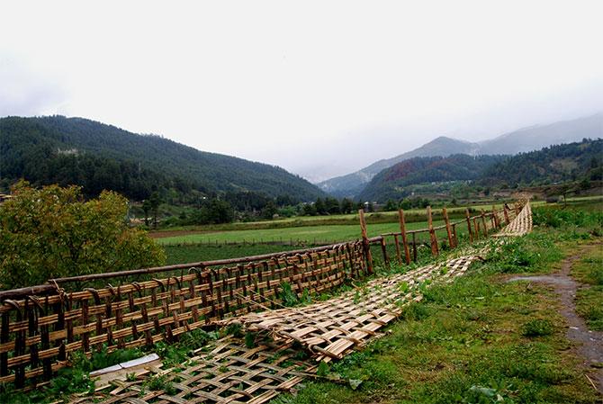 Bhutan