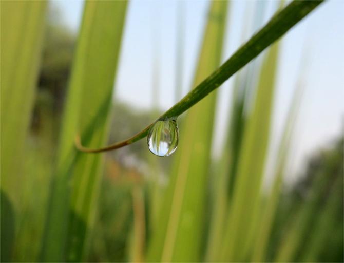 monsoon pics 