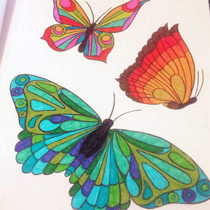 adult colouring book