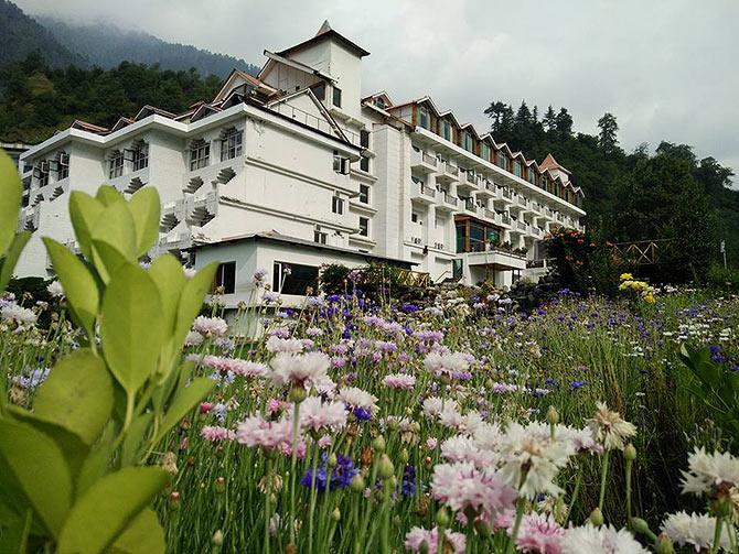 Citrus, Manali