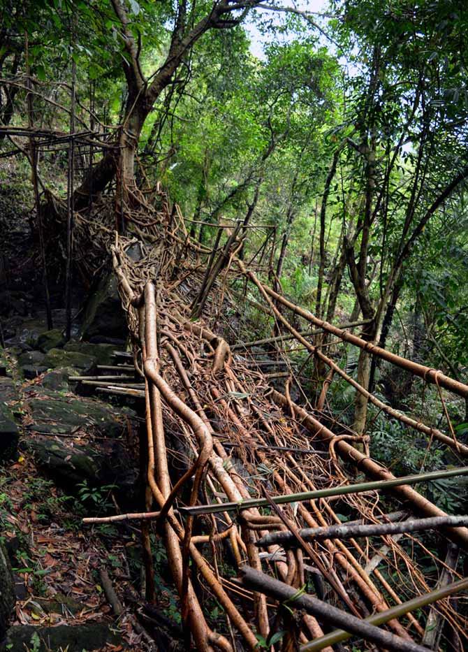 Meghalaya 