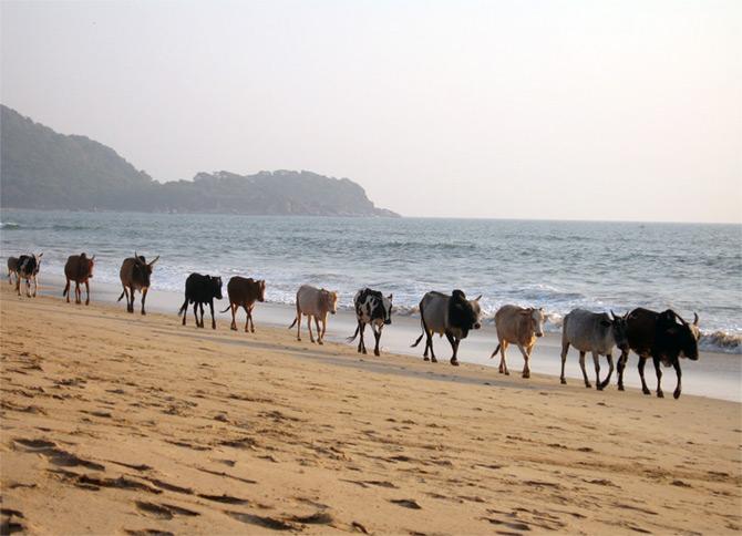 Goa beach