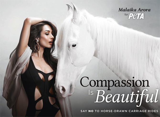 Peta campaign with Malaika Arora Khan 