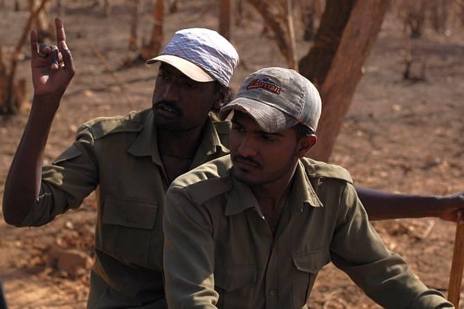 IMAGE: Trackers play an important role in not only tracking and keeping count of lions and other wild animals but they also report injuries to them and their health condition to the forest department.