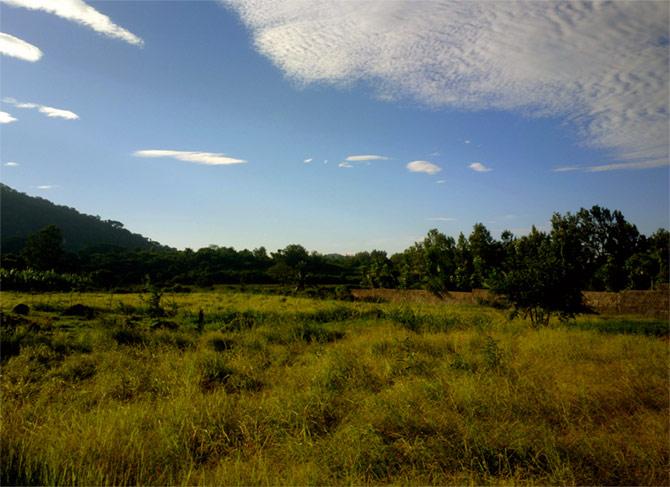 Yelagiri Hills 