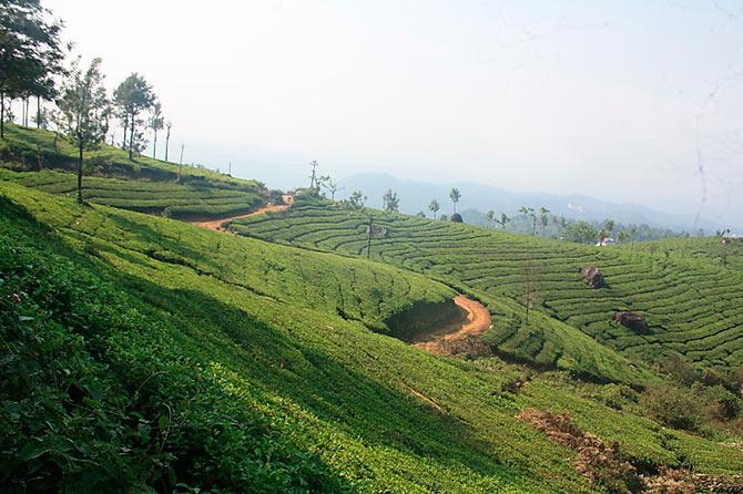 Munnar