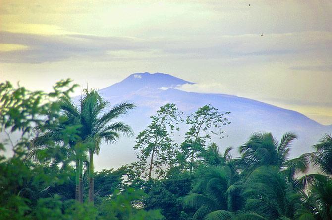 Mount Cameroon