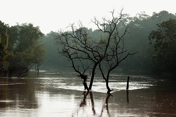 Bhitarkanika National Park