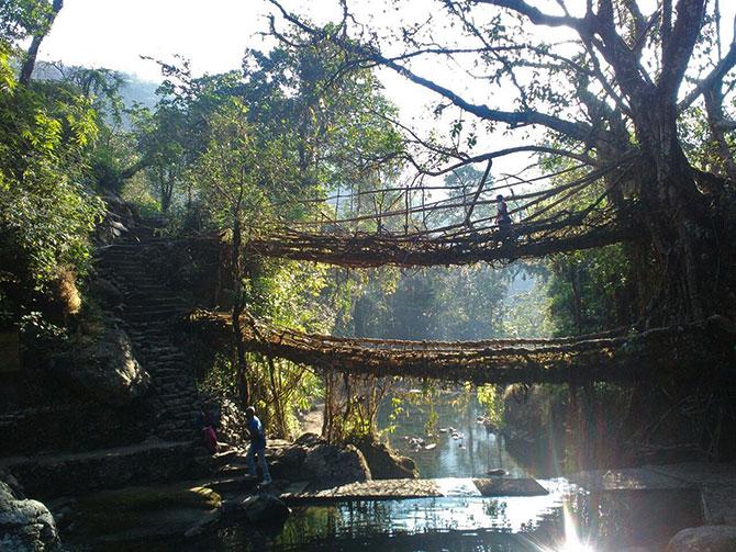 The double layered root bridges of Nongriat village