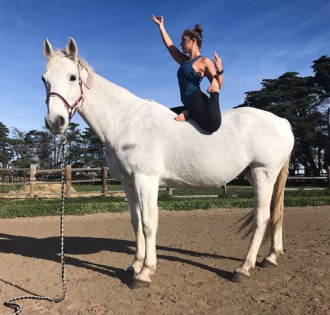 Horse Yoga