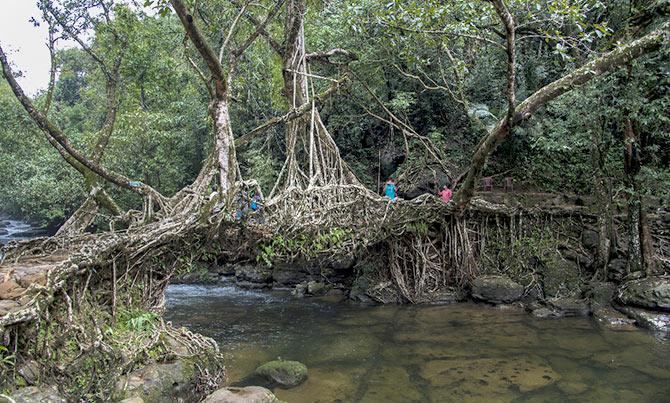 Meghalaya