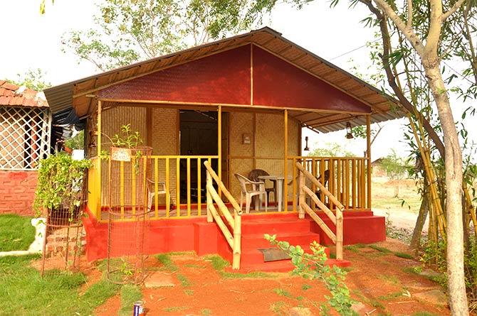 Bamboo house