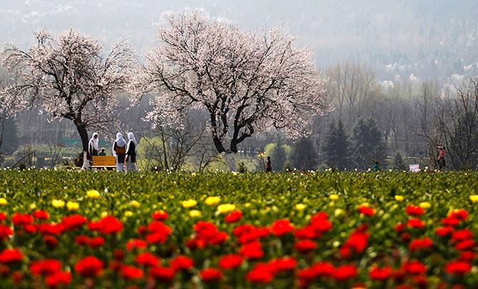 Srinagar