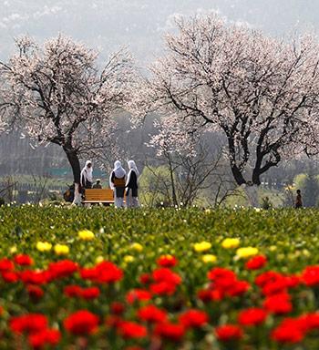 Srinagar