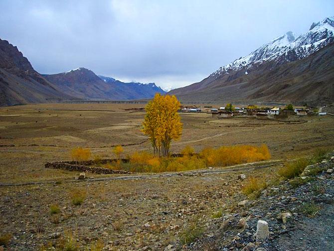 Himachal Pradesh