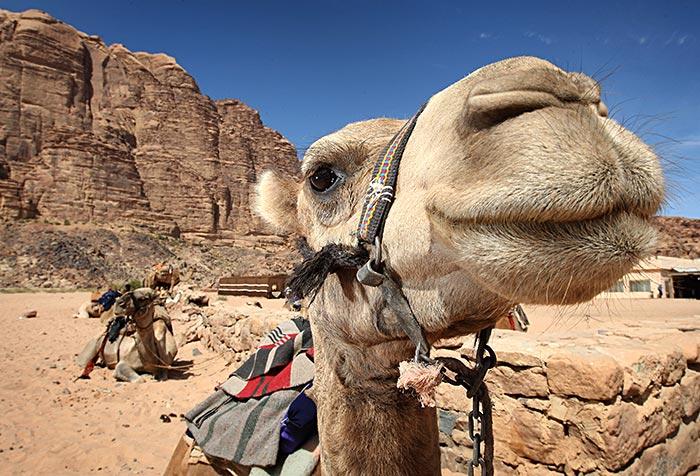 Wadi Rum