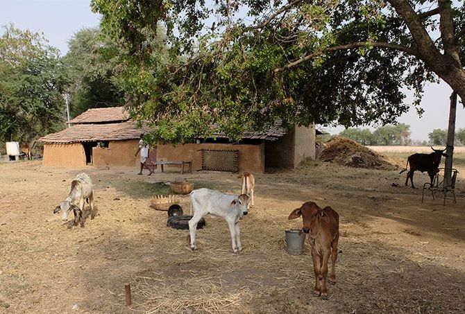Col Sudhir's Farm in Kota
