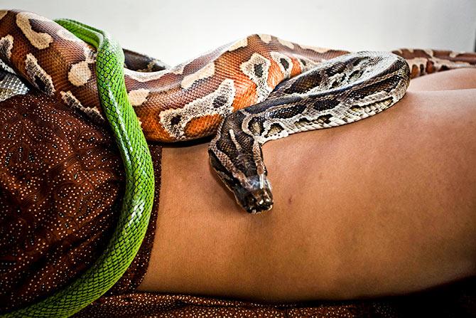 Snake massage