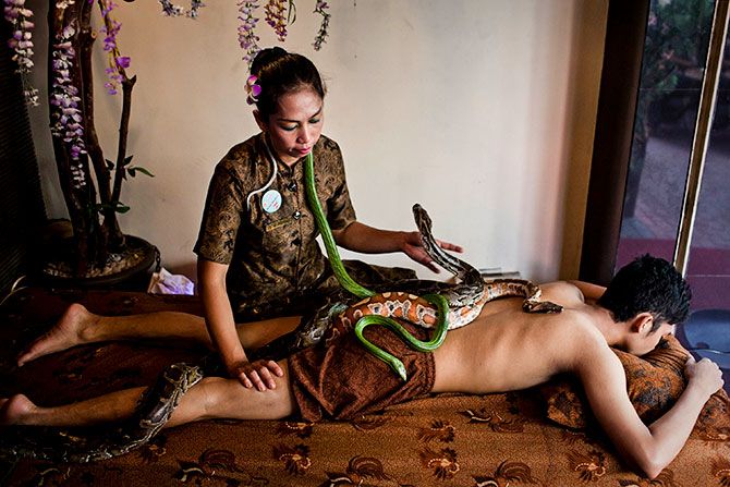 Snake massage