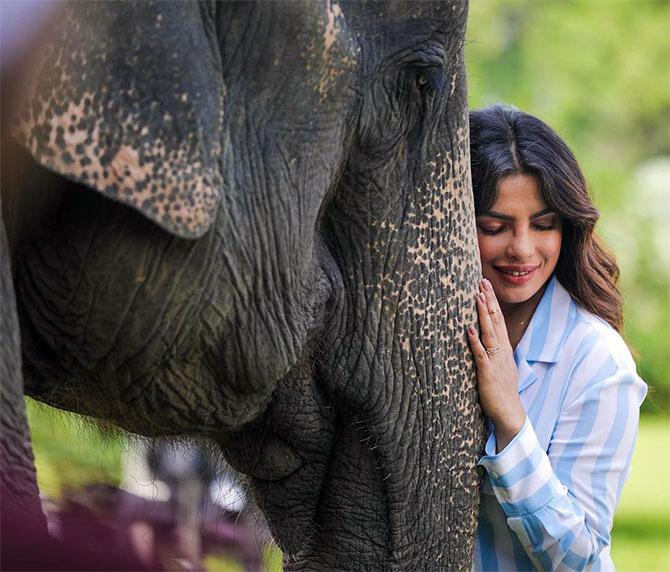 Priyanka Chopra in Assam