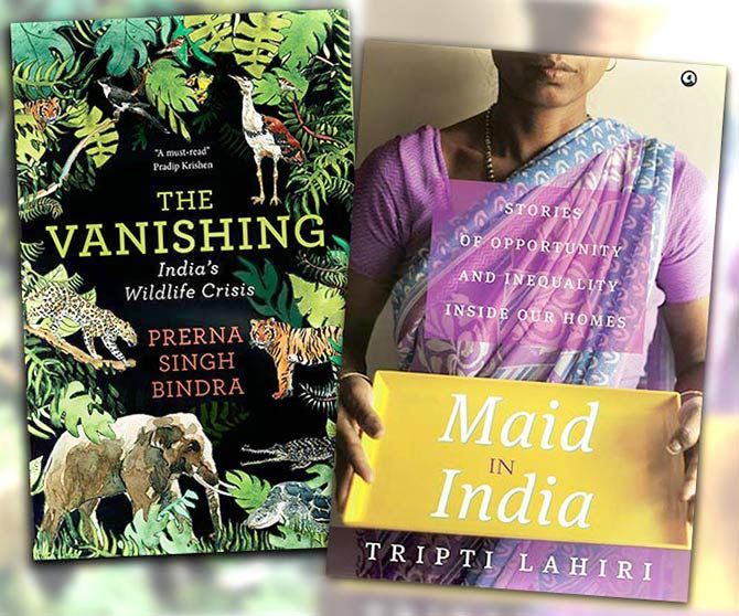 Books: The Vanishing and Maid In India