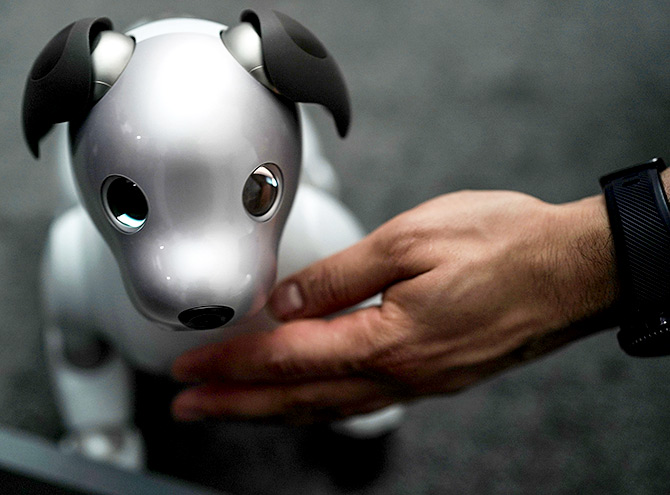 Aibo dog robot CES