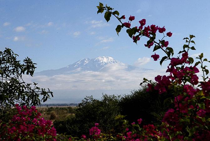 Mt Kilimanjaro